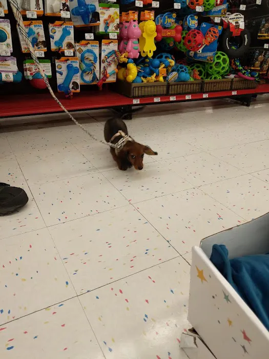 Petco Picture 1