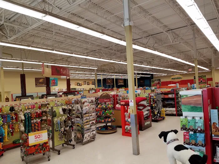 Petco Picture 10