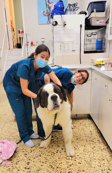 Park Slope Veterinary Center Picture 9