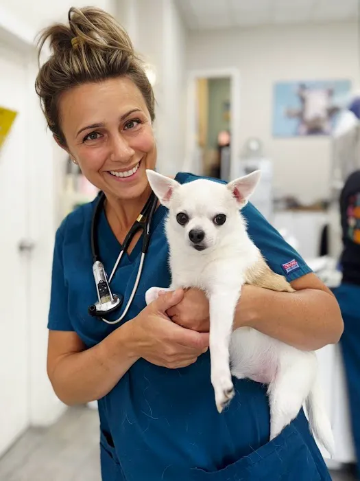 Park Slope Veterinary Center Picture 3