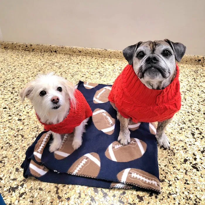 Park Slope Veterinary Center Picture 2