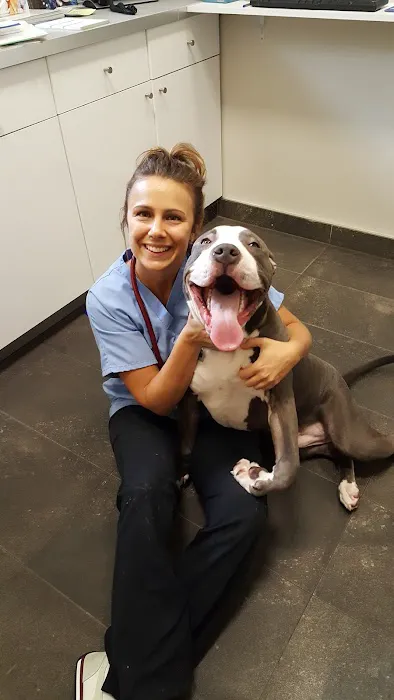 Park Slope Veterinary Center Picture 5