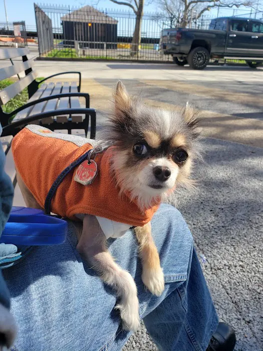 Brooklyn Veterinary Group Picture 4
