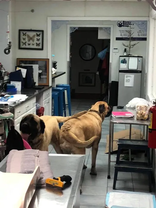 Brooklyn Veterinary Group Picture 10