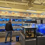 Petco