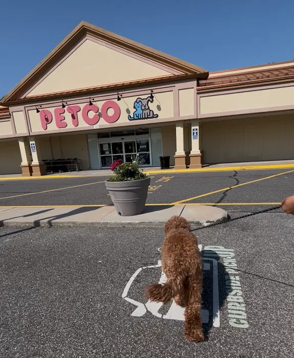 Petco Picture 10