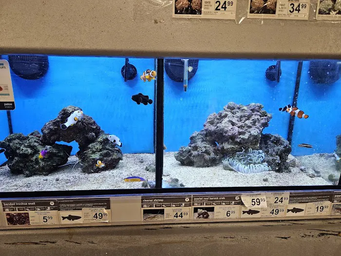 Petco Picture 2
