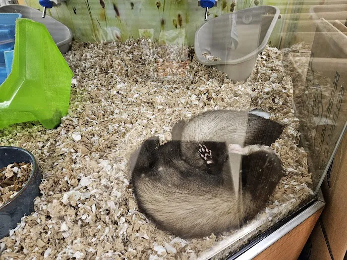 Petco Picture 3