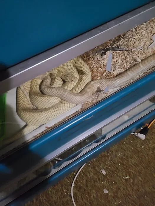 JHA Reptiles Picture 8