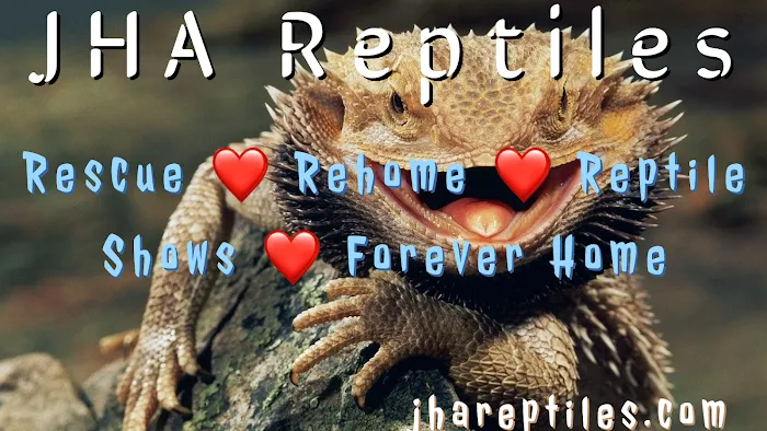 JHA Reptiles Picture 9