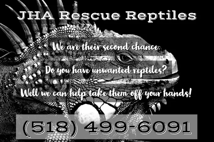 JHA Reptiles Picture 10