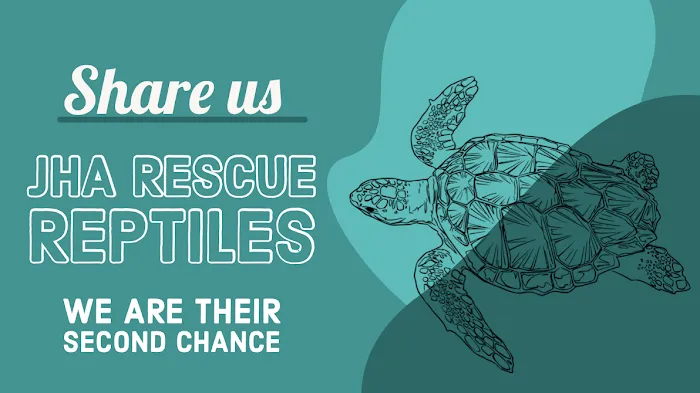 JHA Reptiles Picture 5