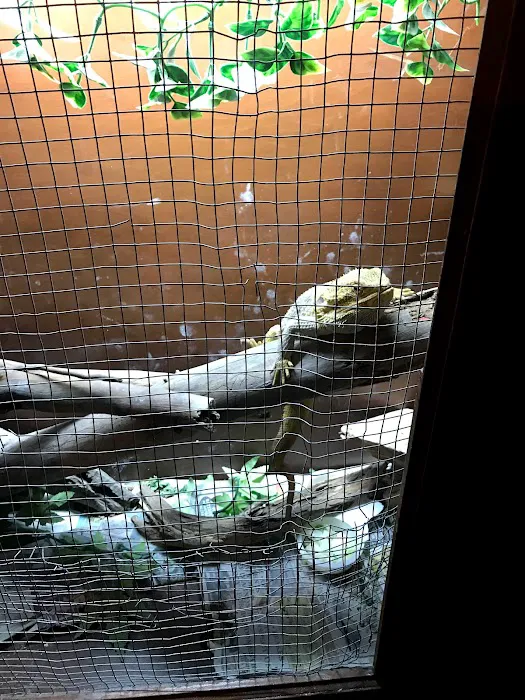 JHA Reptiles Picture 2