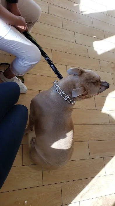 St Francis Animal Hospital Picture 7