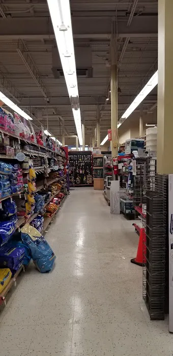 Petco Picture 10