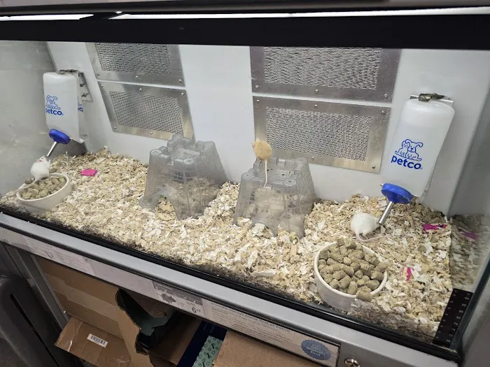 Petco Picture 8