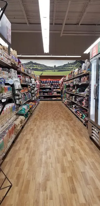 Petco Picture 9