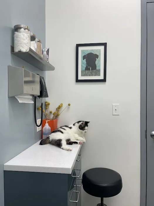 Brooklyn Roots Veterinary Hospital Picture 4