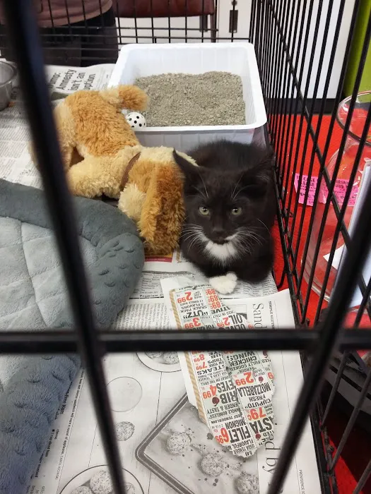 Petco Picture 5