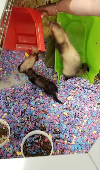 Petco Picture 1
