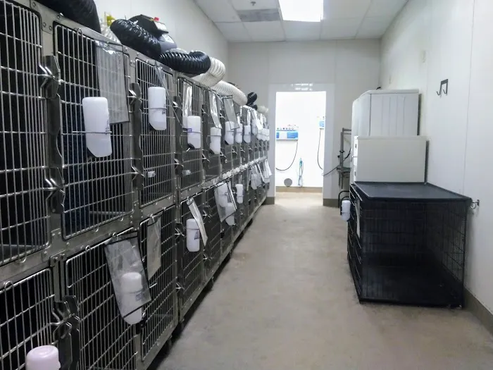 Petco Picture 4