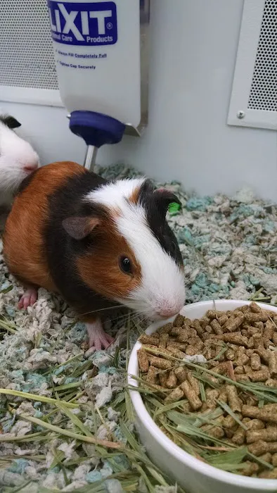 Petco Picture 2
