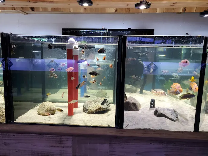 OSA Aquarium Superstore & Services -Coventry RI Picture 1