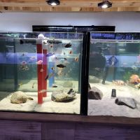 OSA Aquarium Superstore & Services -Coventry RI ico