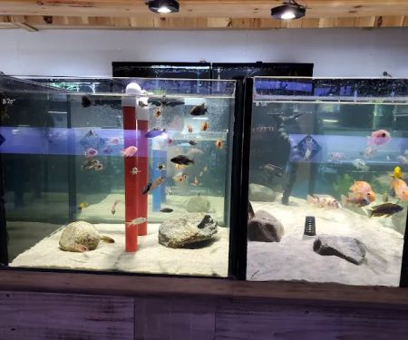 OSA Aquarium Superstore & Services -Coventry RI