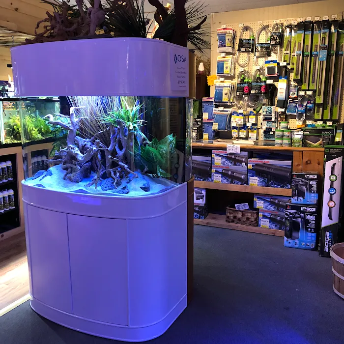 OSA Aquarium Superstore & Services -Coventry RI Picture 10