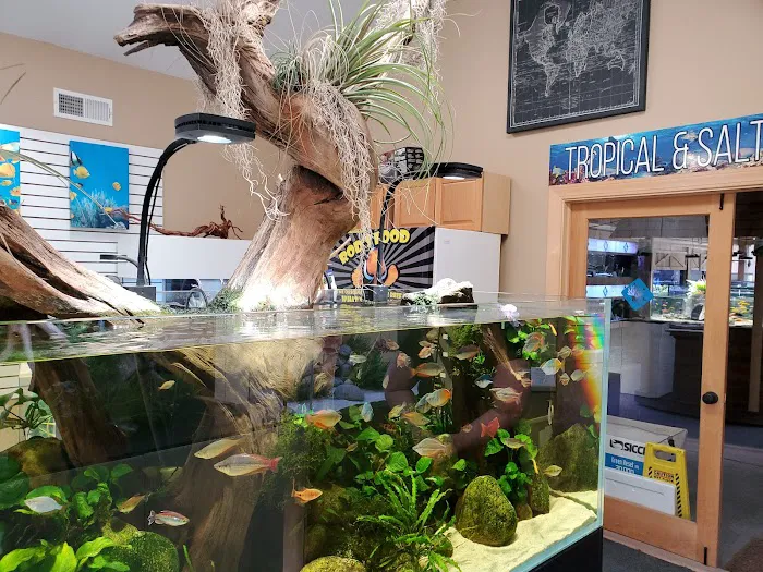 OSA Aquarium Superstore & Services -Coventry RI Picture 6