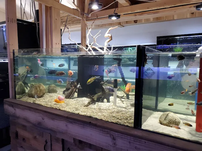 OSA Aquarium Superstore & Services -Coventry RI Picture 4