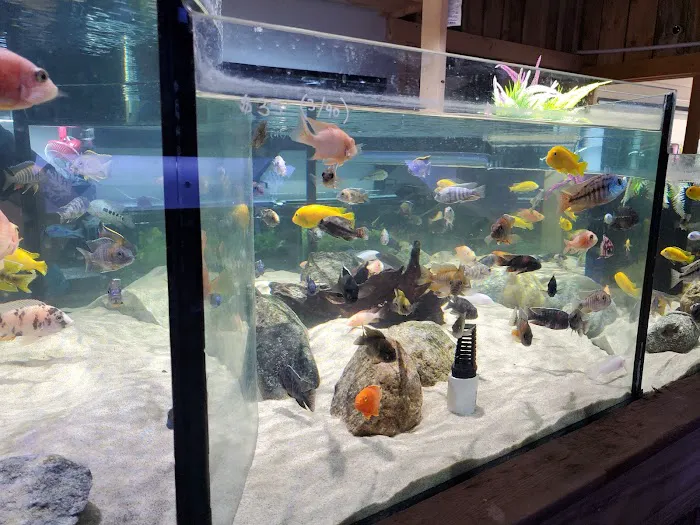 OSA Aquarium Superstore & Services -Coventry RI Picture 2