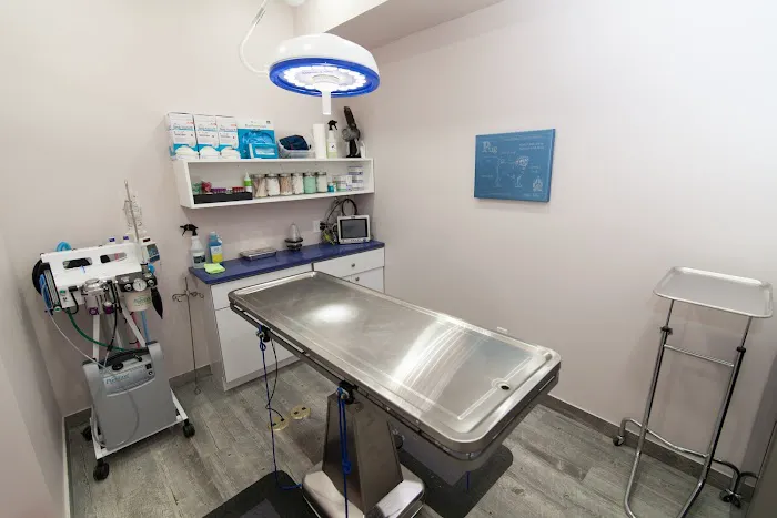 Veterinary Wellness Center of Boerum Hill Picture 6