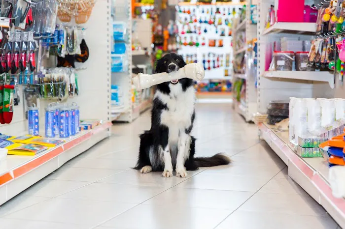 A’s Aquatics & Pet Store Picture 4