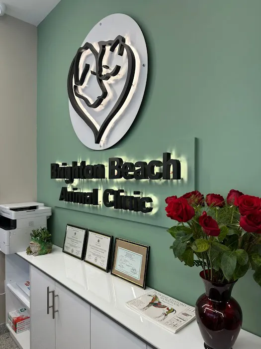Brighton Beach Animal Clinic Picture 3