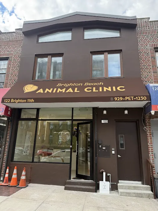 Brighton Beach Animal Clinic Picture 1