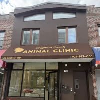 Brighton Beach Animal Clinic ico