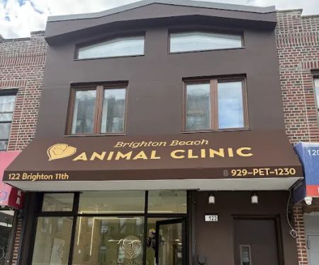 Brighton Beach Animal Clinic