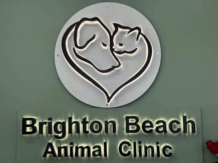 Brighton Beach Animal Clinic Picture 4