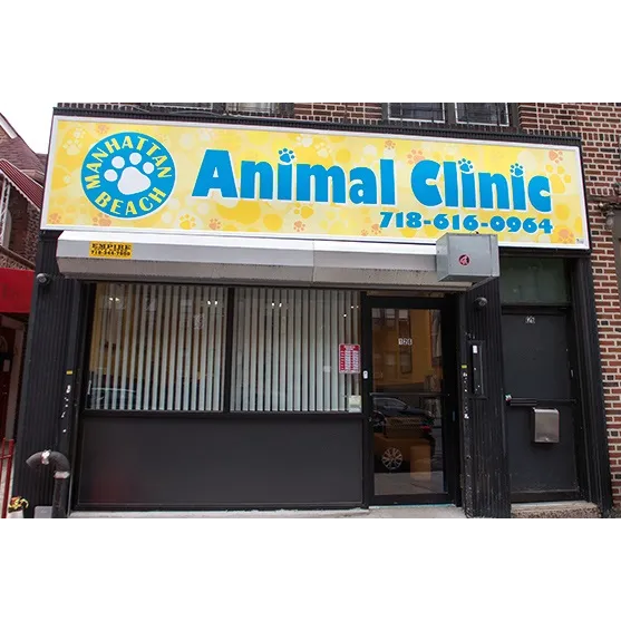 Manhattan Beach Animal Clinic Picture 10