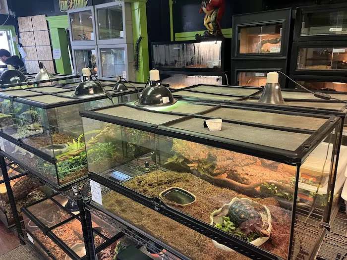 401 Reptiles Picture 3