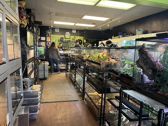 401 Reptiles Picture 2