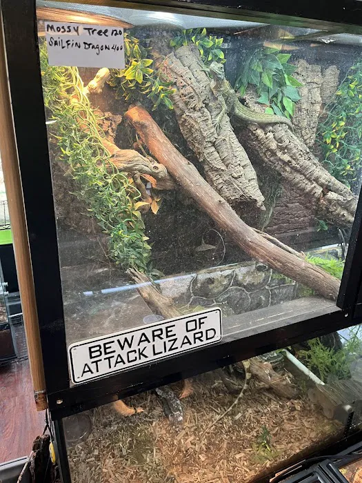 401 Reptiles Picture 7