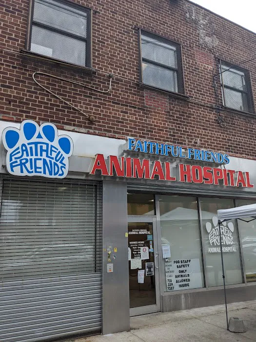 Faithful Friends Animal Hospital Picture 10