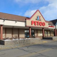 Petco ico