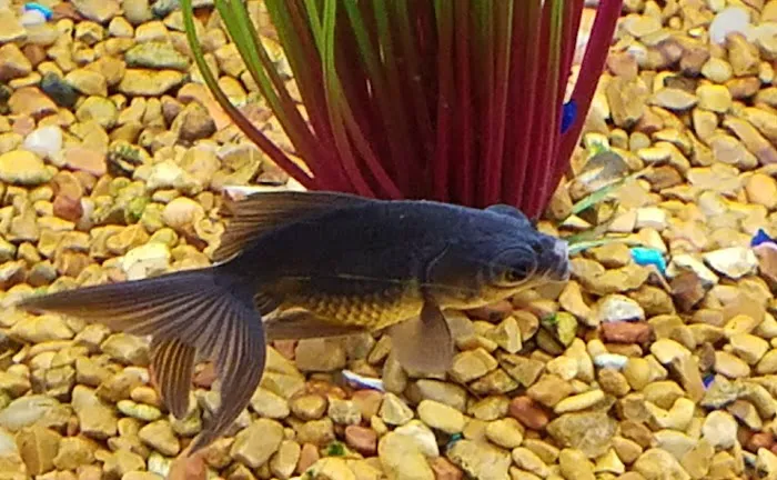 Petco Picture 3