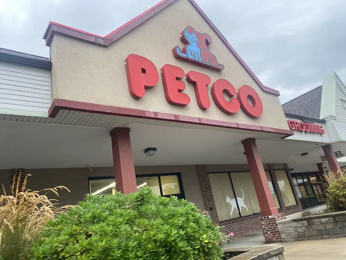 Petco Picture 4