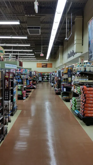 Petco Picture 10