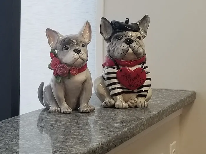 Small Friends Veterinary Clinic dr. Olga Korobkova Picture 5